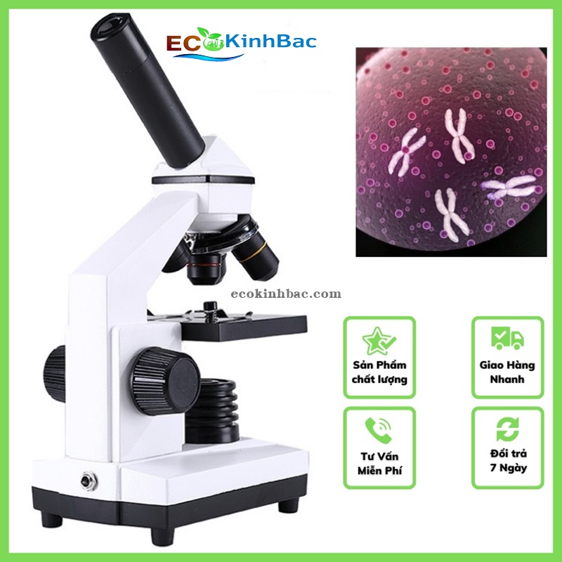 Đơn vị phân phối hàng đầu Kính lúp để bàn, Kẹp bàn có đèn led, Kính lúp công nghiệp uy tín tại tỉnh Tiền Giang