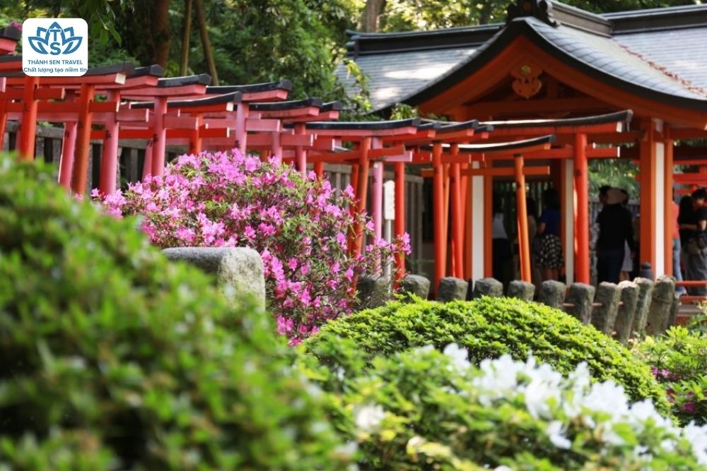 TOKYO MONO – NHẬT BẢN HÈ 2025 FREE & CHILL – TRỌN MÙA RỰC RỠ