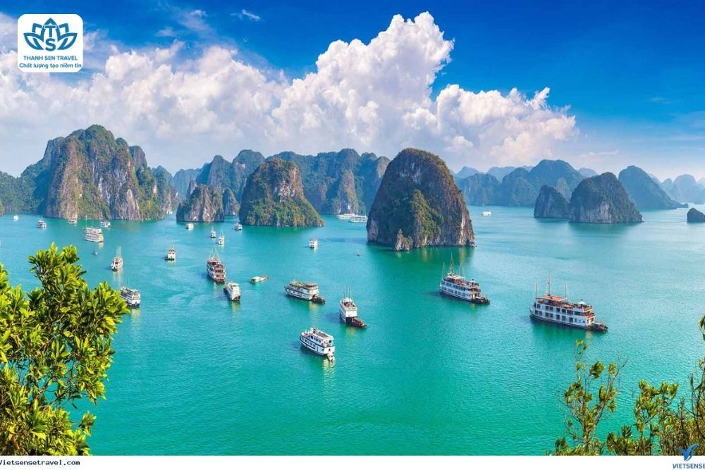 HÀ TĨNH - HẠ LONG - DU THUYỀN ATHENA - HÀ TĨNH