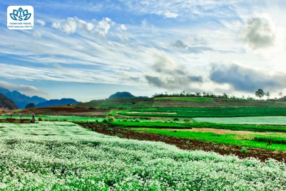 HÀ TĨNH - ĐIỆN BIÊN - SƠN LA - MỘC CHÂU - HÀ TĨNH