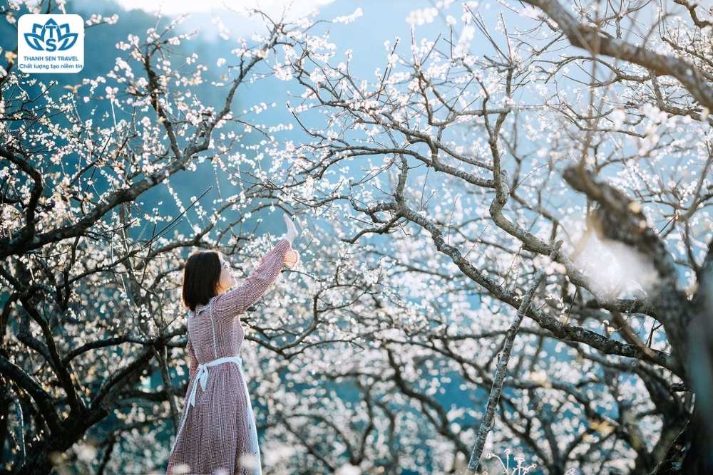 HÀ TĨNH  - TAM CHÚC - MỘC CHÂU - HÀ TĨNH