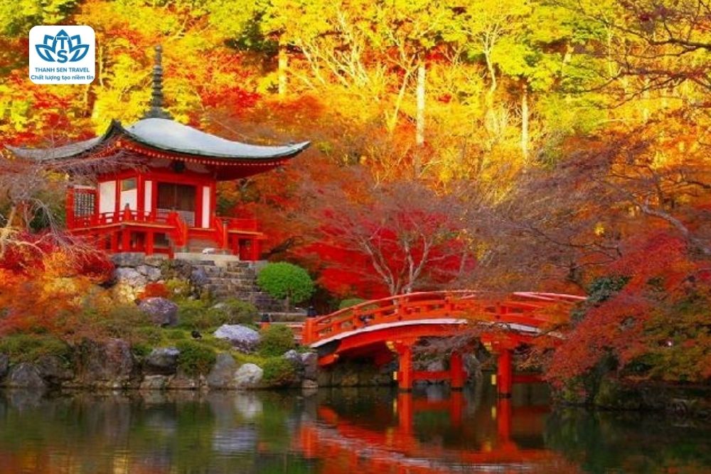 DU LỊCH NHẬT BẢN HÀNH TRÌNH VÀNG MÙA THU 2025