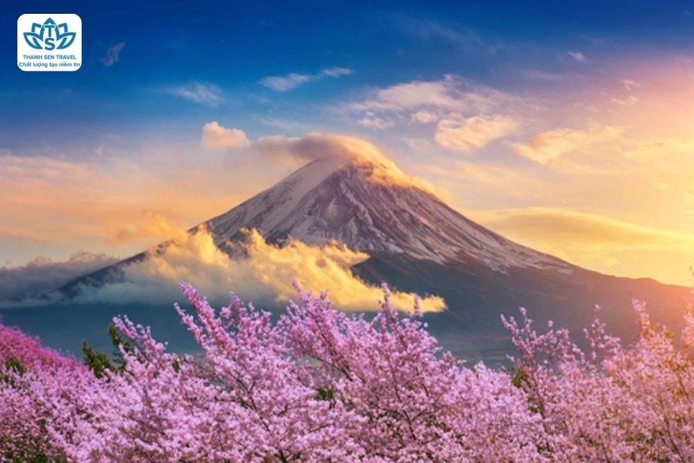 HÀ NỘI - OSAKA - KOBE - KYOTO - NÚI PHÚ SĨ - TOKYO - HÀ NỘI - 6 NG 5 ĐÊM