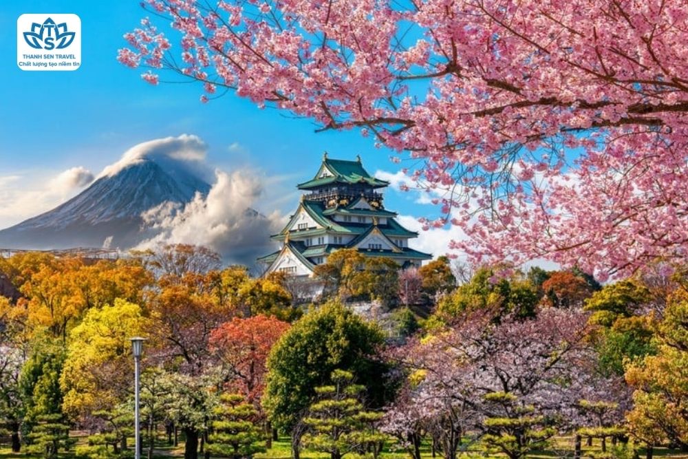 CUNG ĐƯỜNG VÀNG NHẬT BẢN 2025 KOBE - OSAKA - KYOTO - NAGOYA - PHÚ SĨ - TOKYO