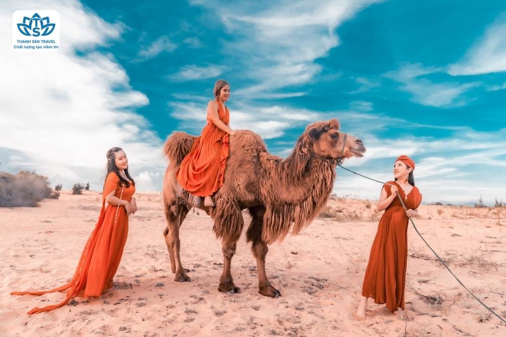 HÀ TĨNH - VINH - TP HỒ CHÍ MINH - VŨNG TÀU - MŨI NÉ - TP HỒ CHÍ MINH - VINH - HÀ TĨNH