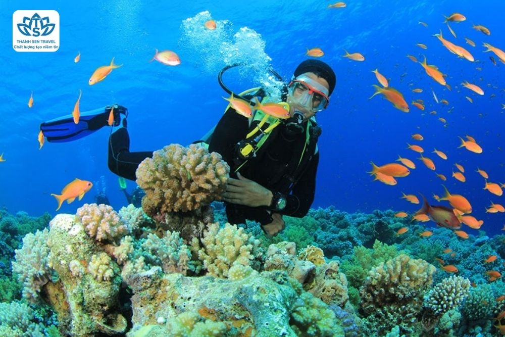 HÀ TĨNH - QUY NHƠN - ĐÀ NẴNG - HÀ TĨNH