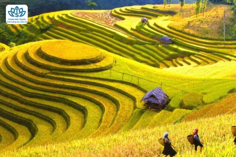 HÀ TĨNH - SƠN LA - ĐIỆN BIÊN - SAPA - NINH BÌNH -  HÀ TĨNH