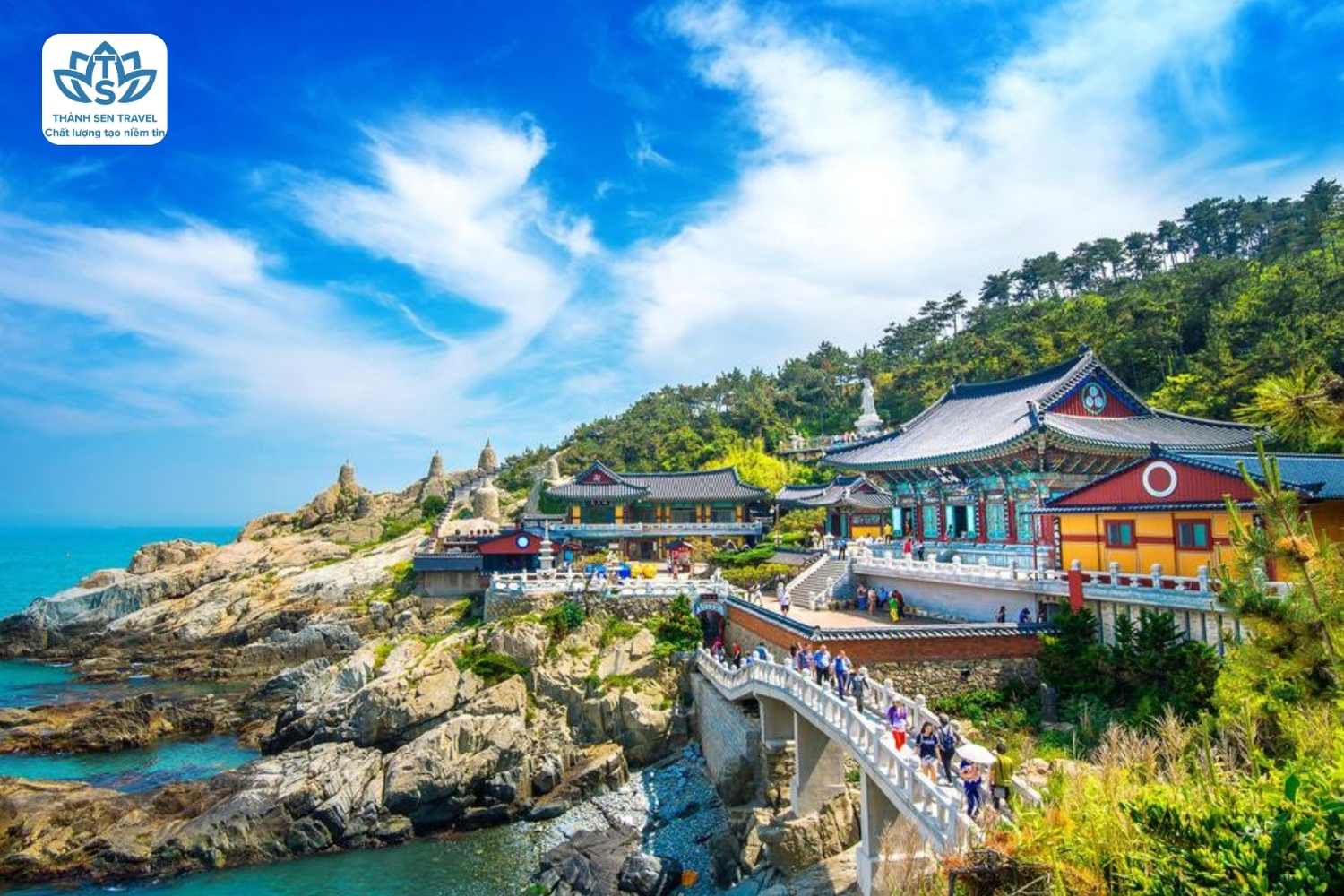 KHÁM PHÁ MÙA HÈ TẠI XỨ SỞ KIM CHI NĂM 2026