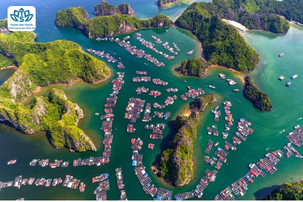 HÀ TĨNH - HẢI PHÒNG - CÁT BÀ - HẠ LONG - HÀ TĨNH