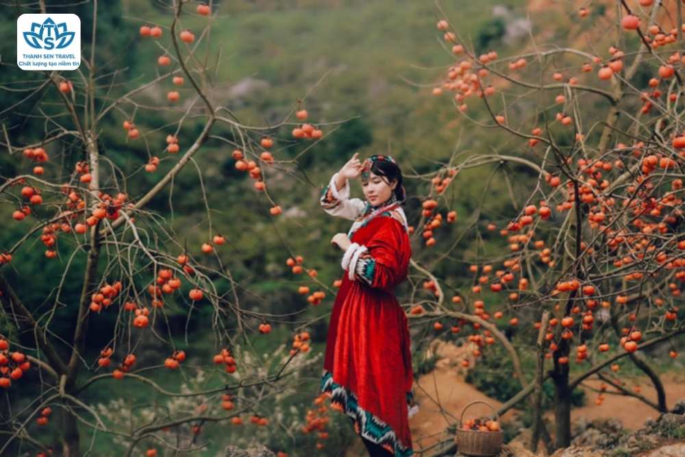 HÀ TĨNH - MỘC CHÂU - HÀ TĨNH 4NG3Đ