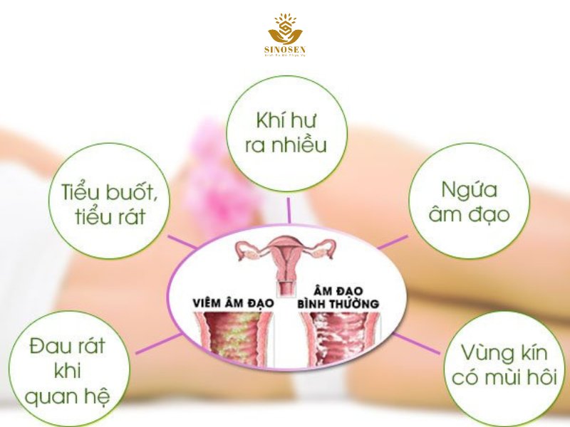 Ung thư cổ tử cung