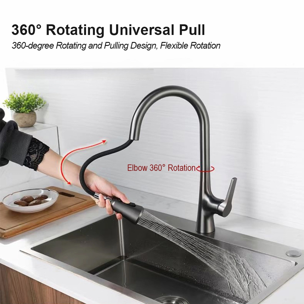Vòi rửa bát nóng lạnh dây rút Roslerer RL-688 grey