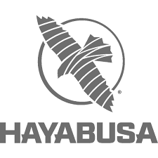 HAYABUSA