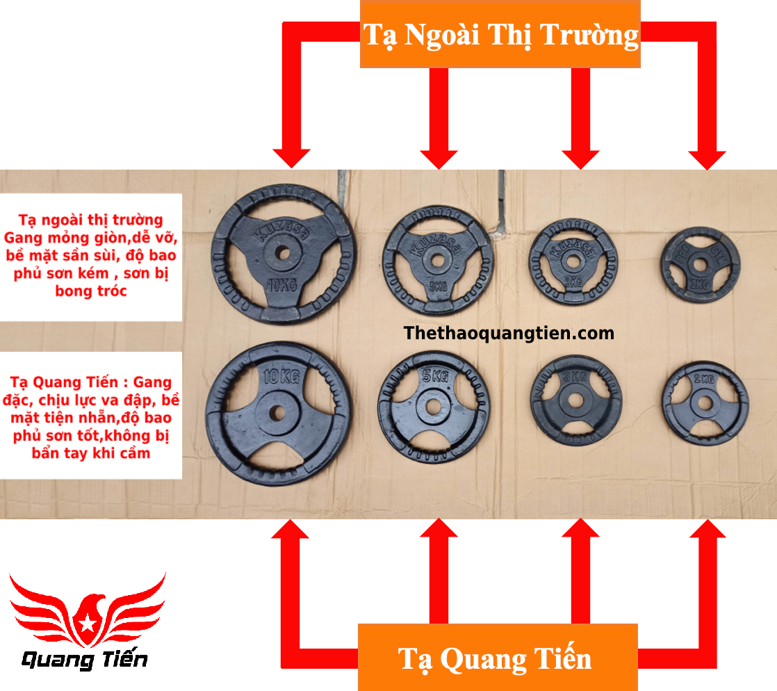 Tạ bánh gang 2 kg, miếng tạ gang 2 kg , đĩa tạ gang 2kg 3 cánh QT08