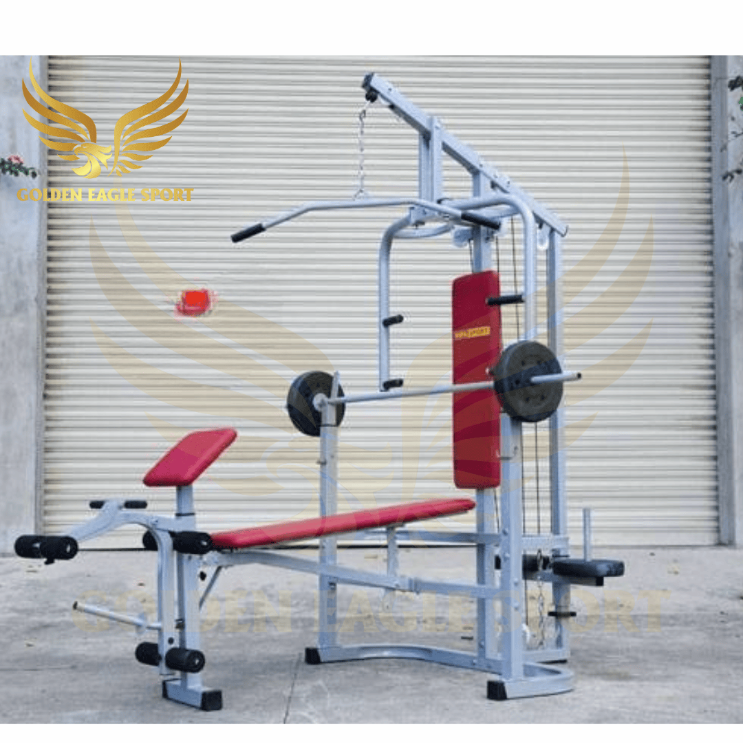 GIÀN TẬP TẠ BEN 601502,Ghế đẩy tạ đa năng Vifasport Ben 601502
