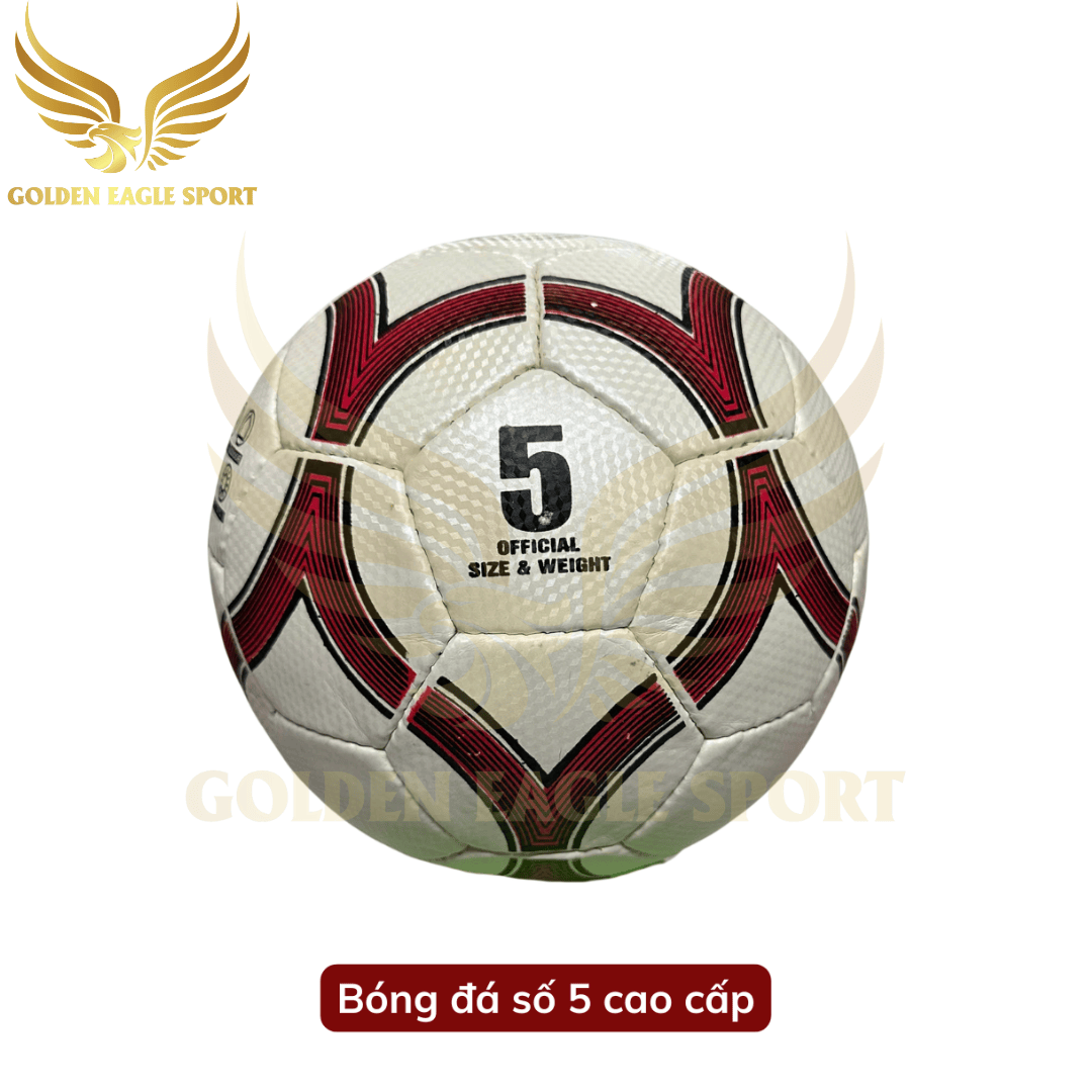 Quả bóng đá số 5 cao cấp ( tặng kèm kim bơm và lưới đựng bóng )