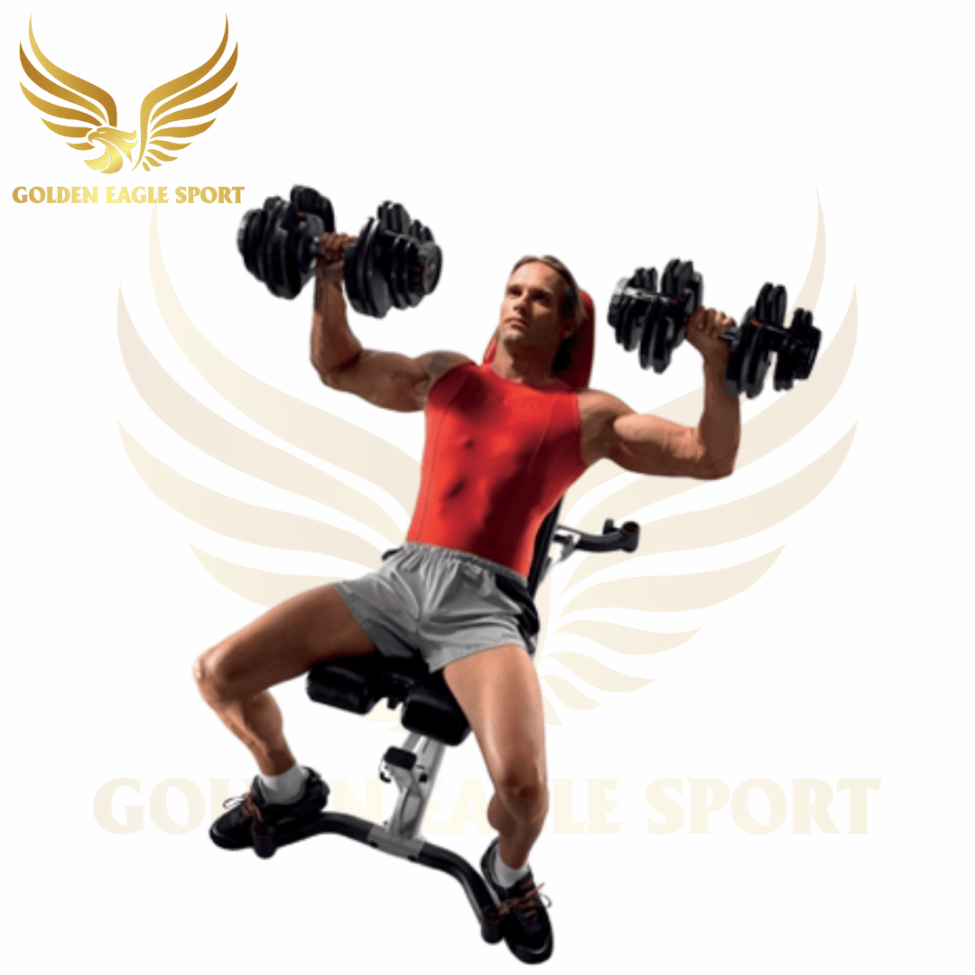 Ghế tập tạ Bowflex