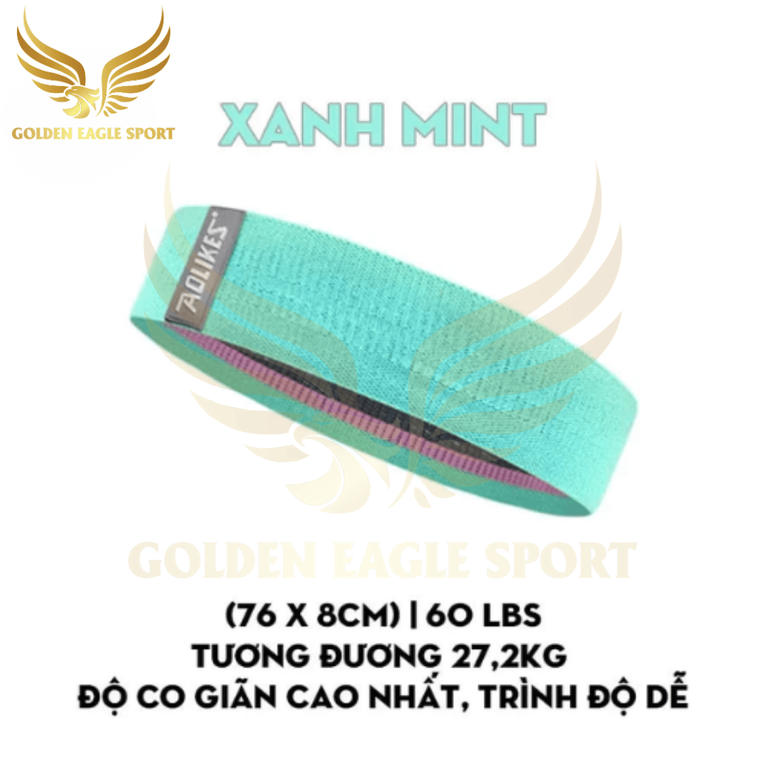 Dây Đàn Hồi Kháng Lực Tập Mông Đùi AoLikes 3604