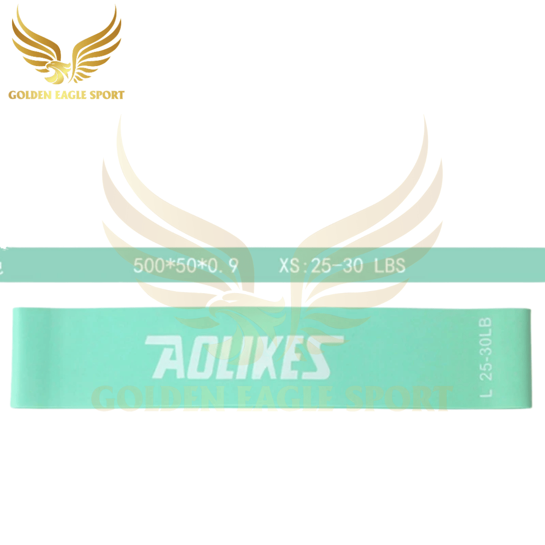 Dây Kháng Lực Mini Band, Bộ Dây Mini Band Cao Su Kháng Lực Tập Gym Chân Mông Aolikes