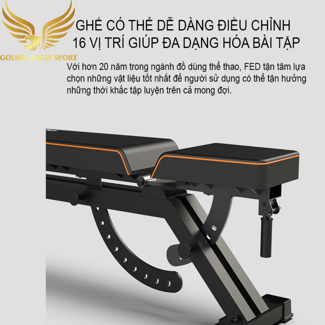 Ghế Tập Tạ Điều Chỉnh Thế Hệ Mới FED-0228