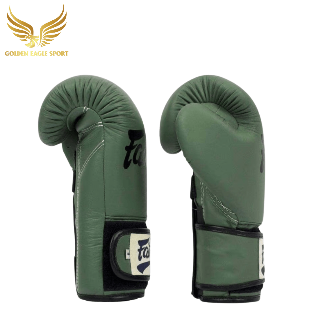 Găng Tay Boxing Fairtex BGV1 F-DAY