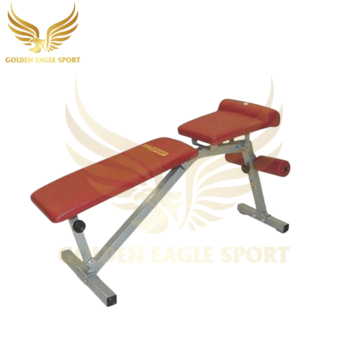 Ghế tập lưng bụng Vifa Sport 601004 QT37