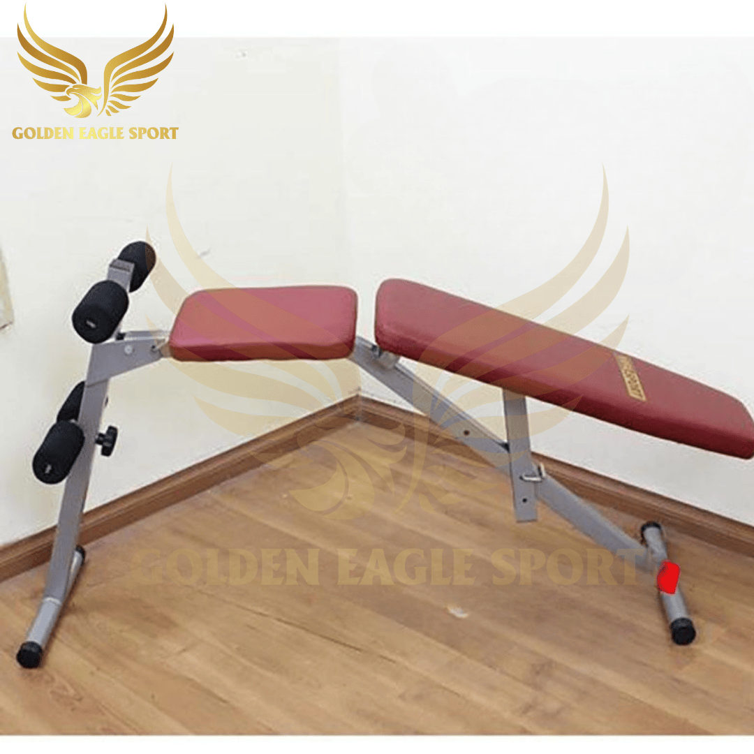 Ghế tập lưng bụng Vifa Sport 601006 QT38