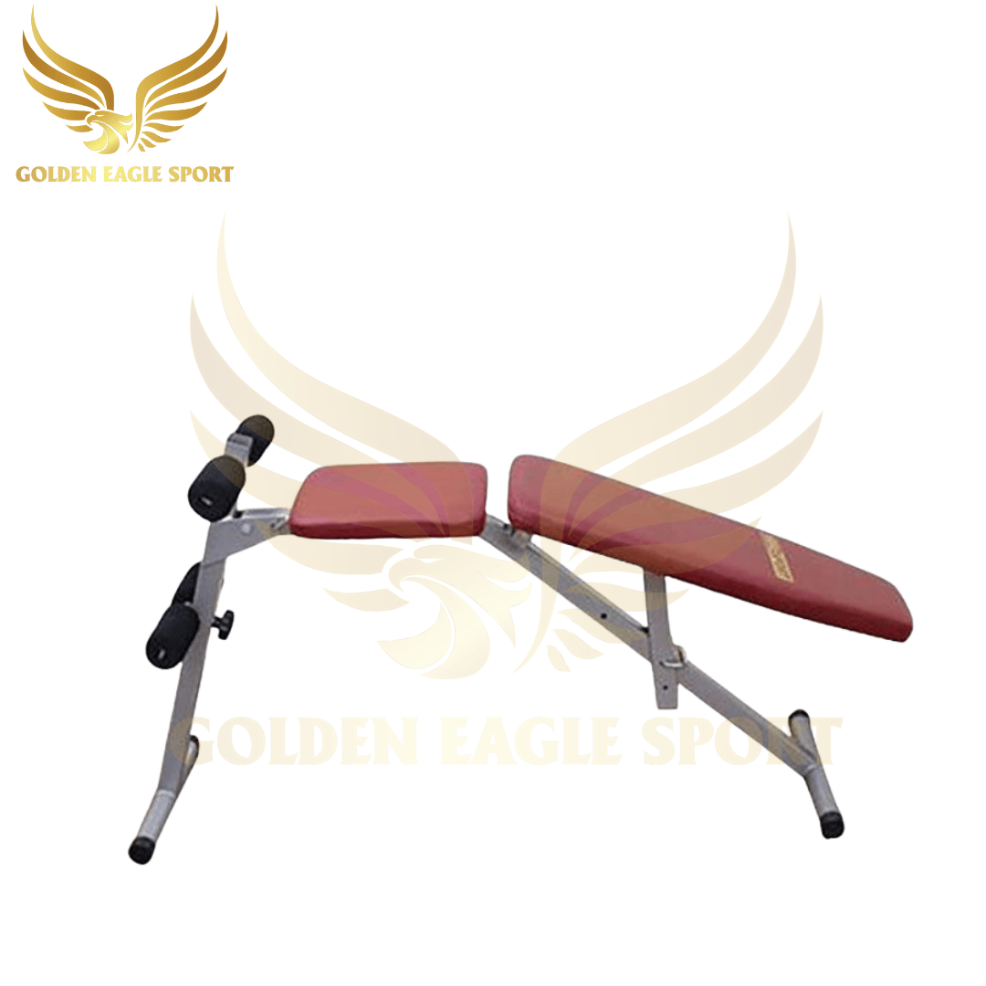 Ghế tập lưng bụng Vifa Sport 601006 QT38