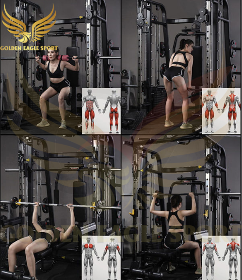 Thông tin Giàn tạ đa năng HQ-368 – Kèm ghế tạ