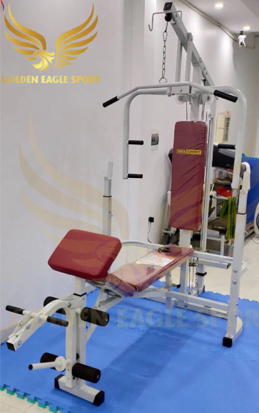 GIÀN TẬP TẠ BEN 601502,Ghế đẩy tạ đa năng Vifasport Ben 601502