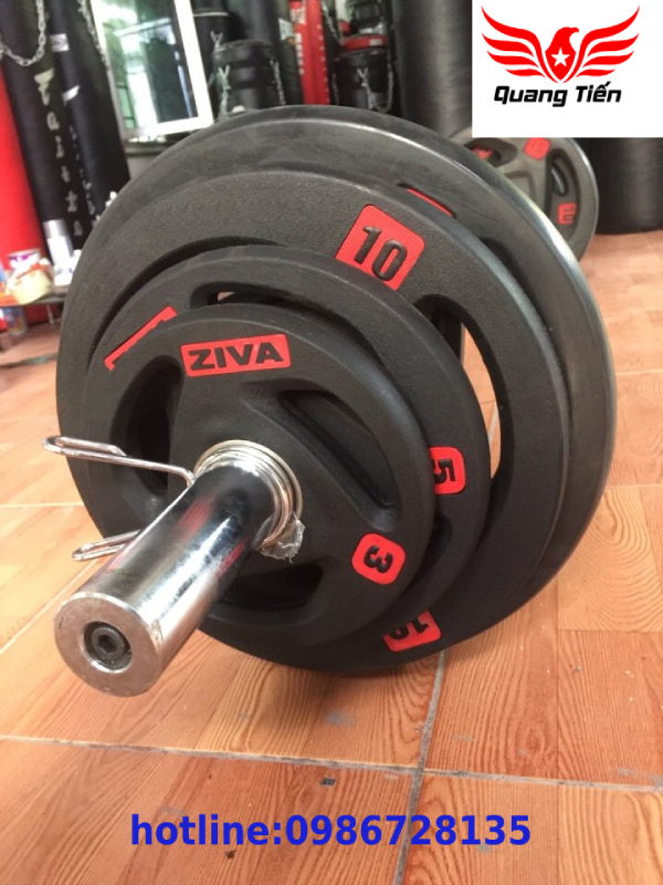 Tạ đĩa cao su Ziva 2,5 Kg cao cấp 2021