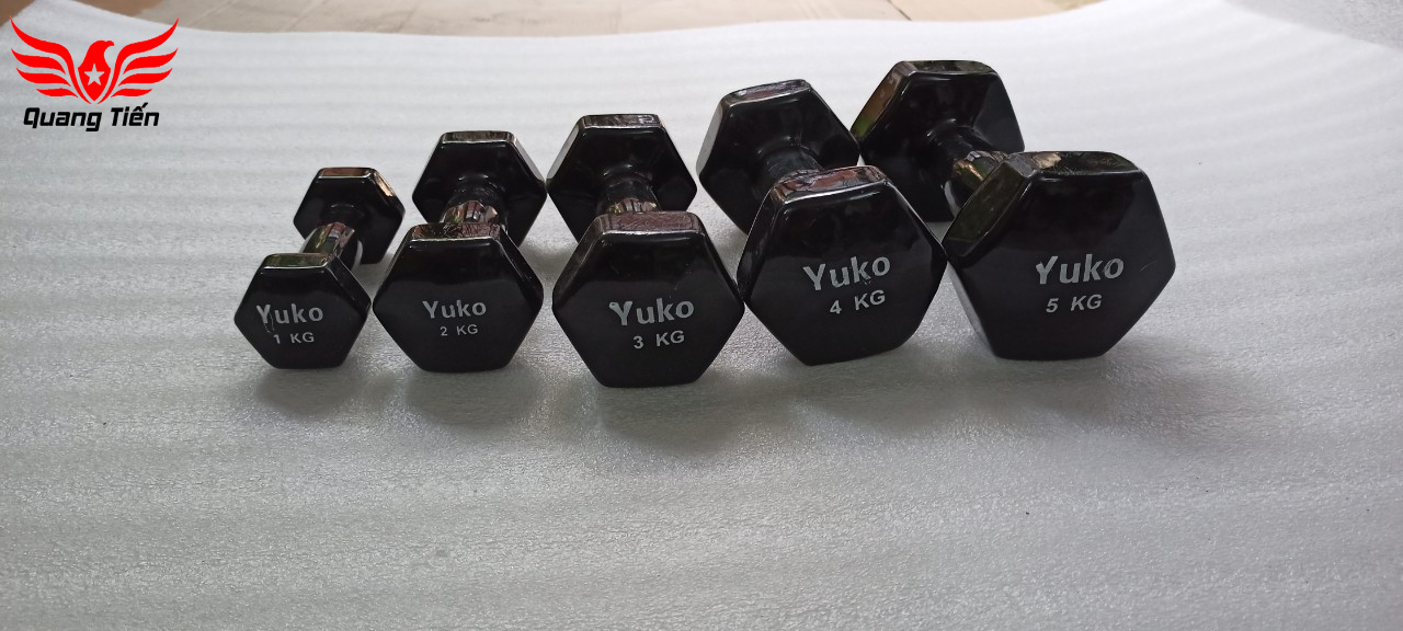 Tạ tay cao su lục giác YuKo cao cấp QT22 ( giá 1 chiếc)
