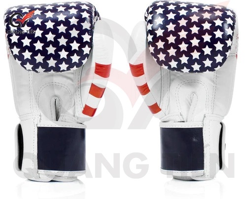 Găng tay Boxing Fairtex BGV1 USA Flag