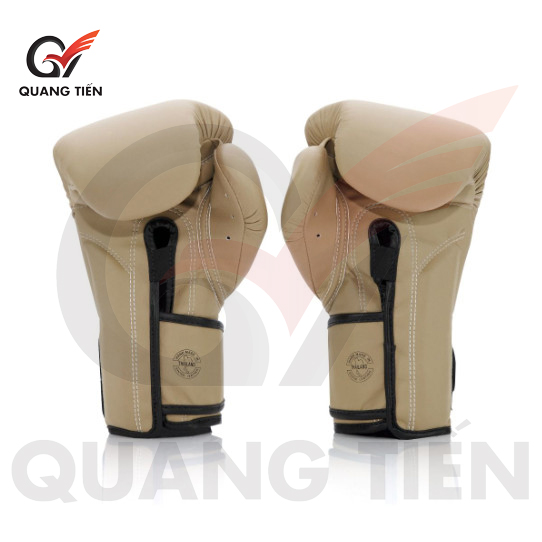 GĂNG TAY BOXING FAIRTEX F-DAY 2 LIMITED EDITON