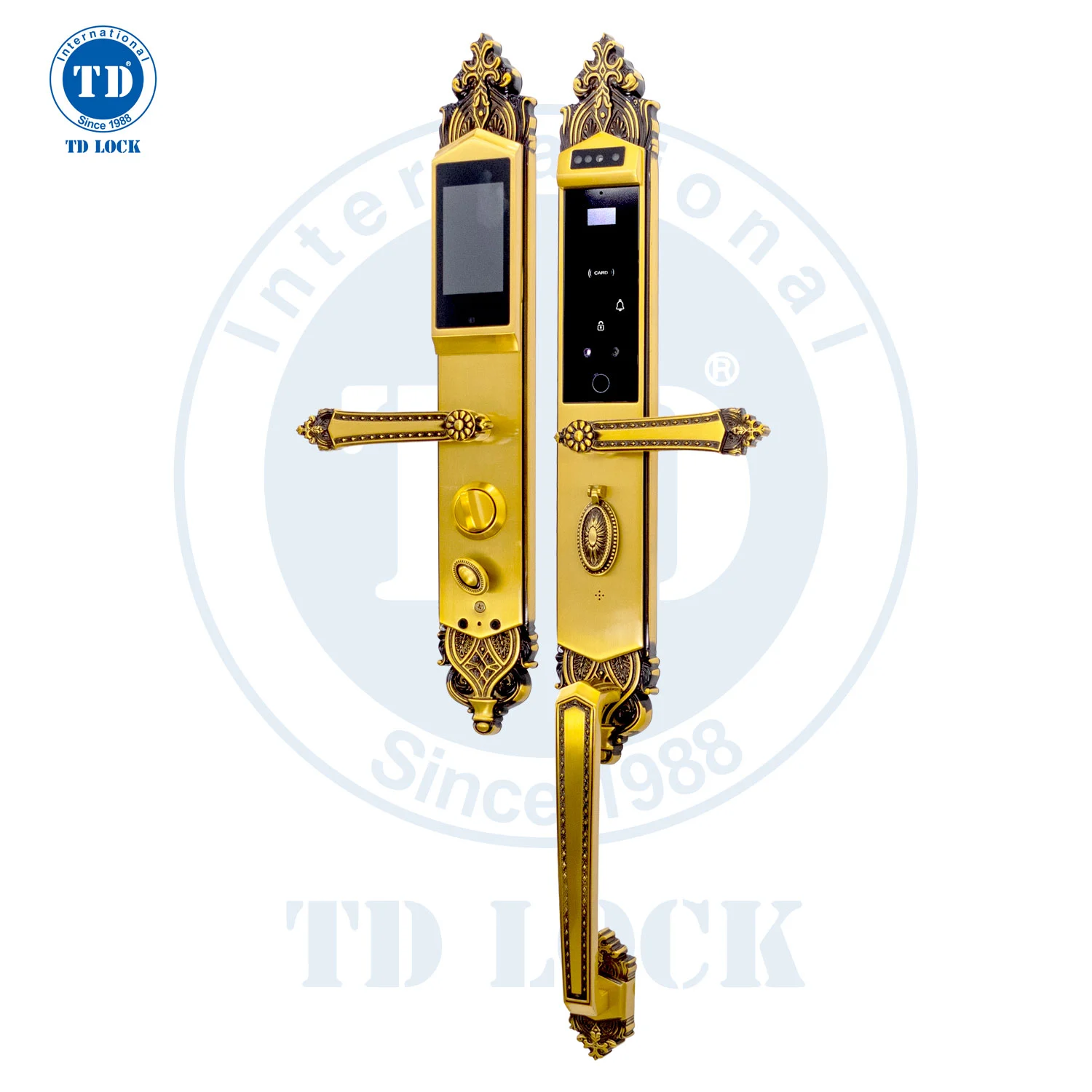 NHỮNG LOẠI KHÓA ĐIỆN TỬ THÔNG MINH VỪA HIỆN ĐẠI VỪA CỔ ĐIỂN