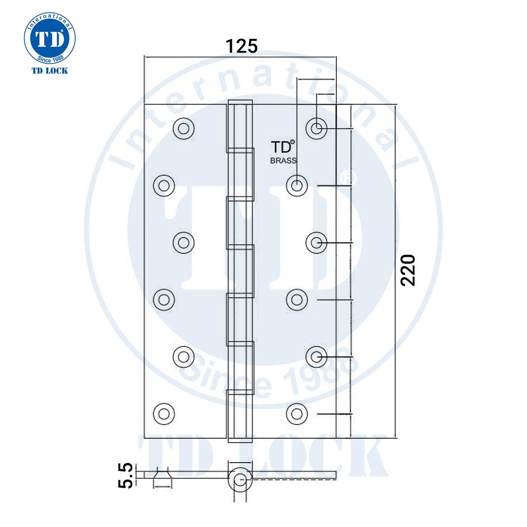 BẢN LỀ CỬA GỖ - BBL-69220-P VÀNG BÓNG