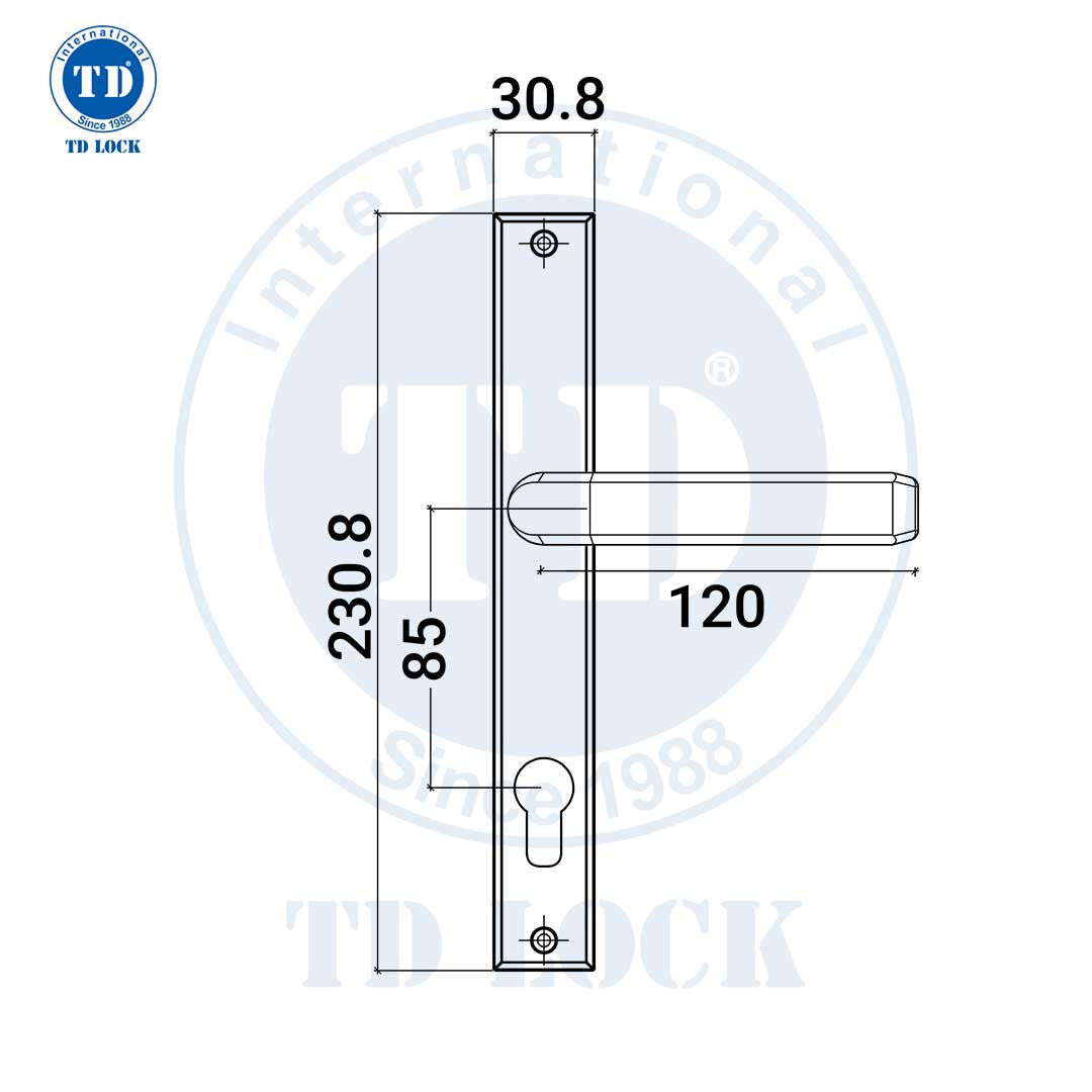 KHÓA TAY GẠT CỬA NHÔM - BDH-235250-S-G GOLD