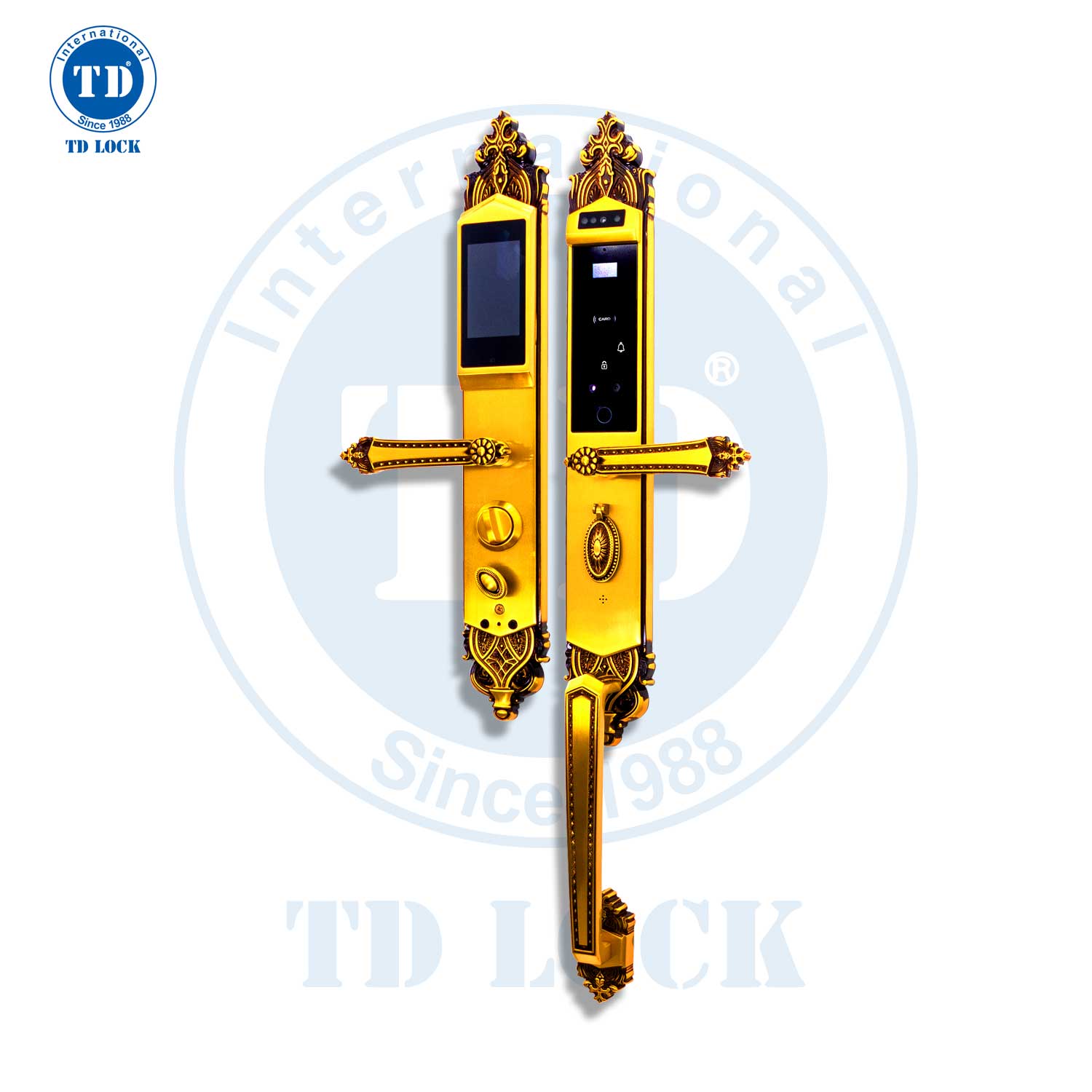 Khóa Sảnh Điện Tử Thông Minh (BSM-488489-2)