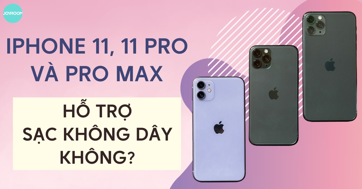 iPhone 11, 11 Pro và Pro Max có hỗ trợ sạc không dây không?