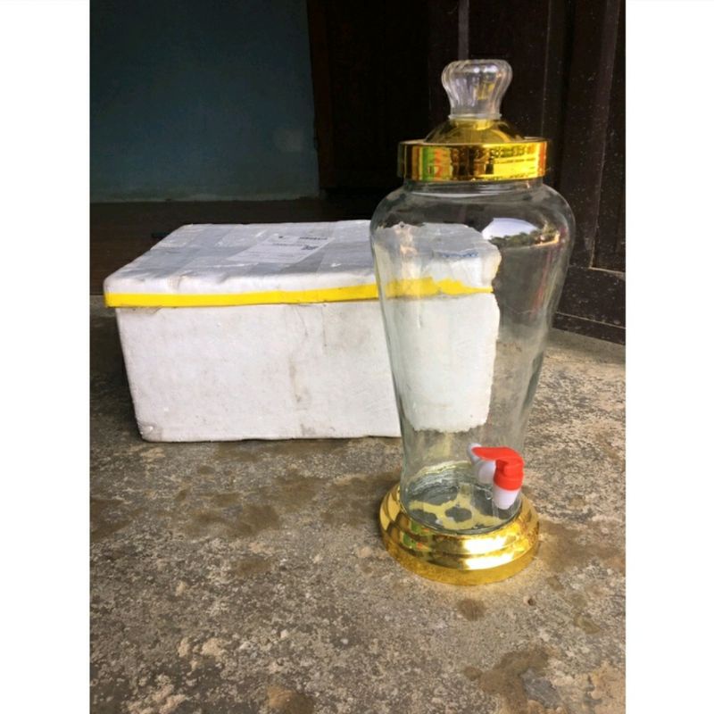 [GIÁ HỦY DIỆT] bình sâm ngâm rượu 3L 4L 6L 8L