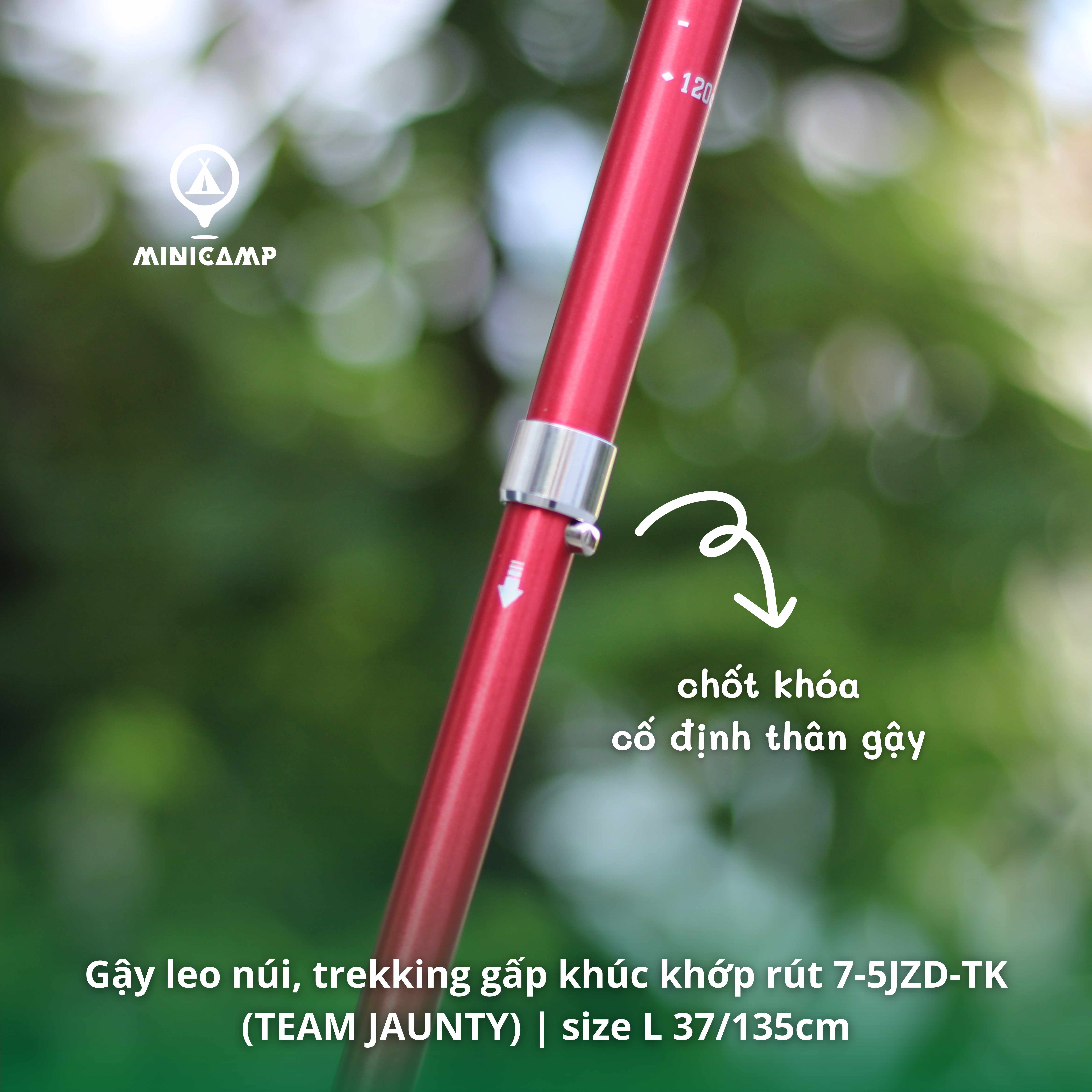 Gậy leo núi, trekking gấp khúc khớp rút 7-5JZD-TK (TEAM JAUNTY) | size L 37/135cm