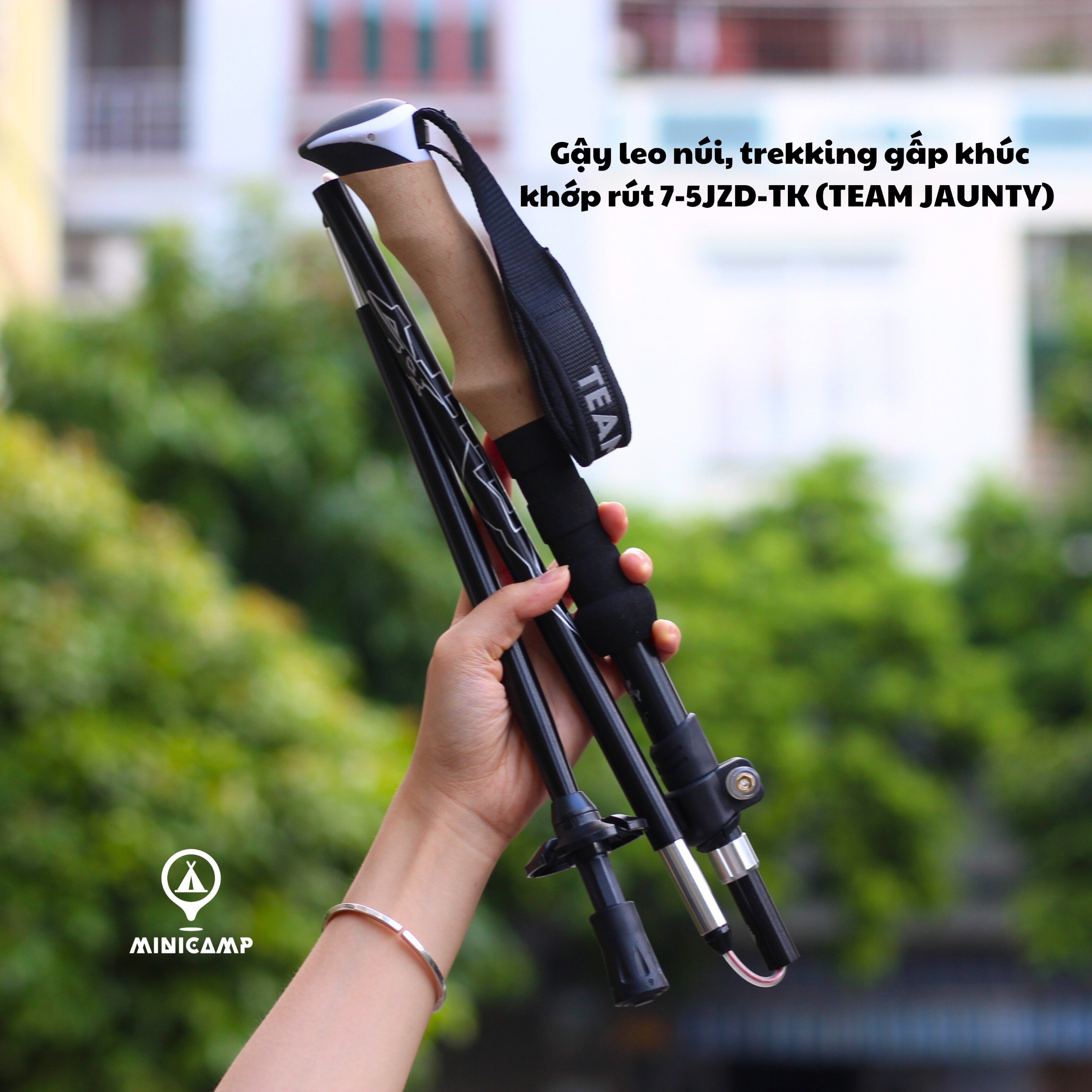 Gậy leo núi, trekking gấp khúc khớp rút 7-5JZD-TK (TEAM JAUNTY) | size L 37/135cm