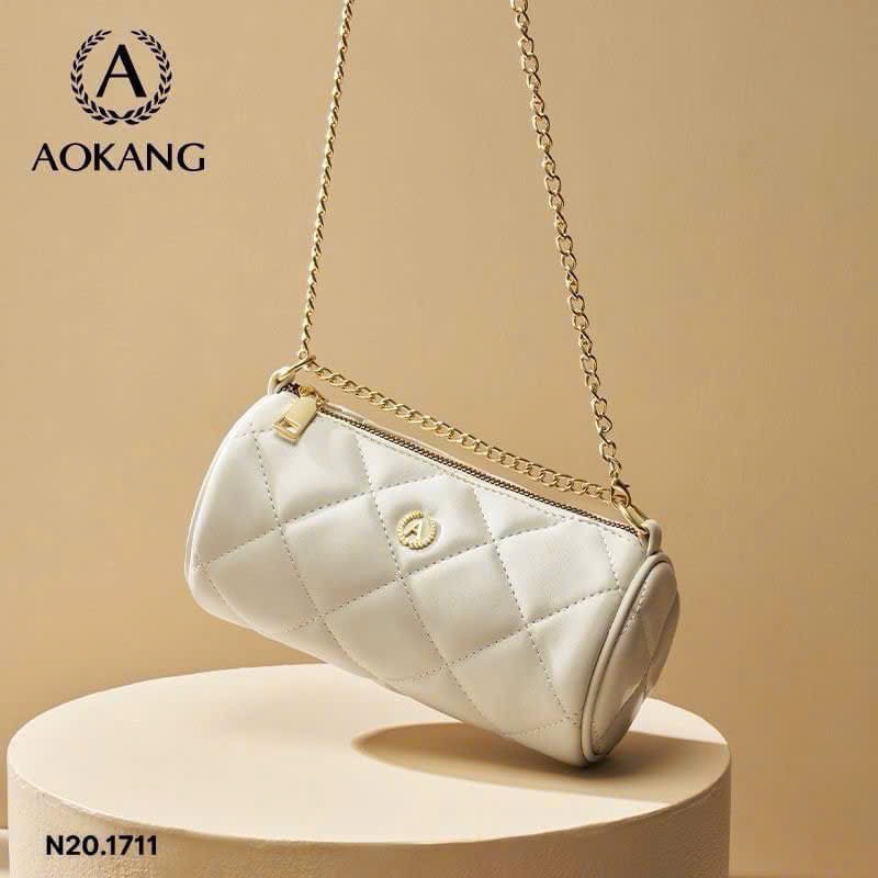 Túi Aokang-R19.1711.24