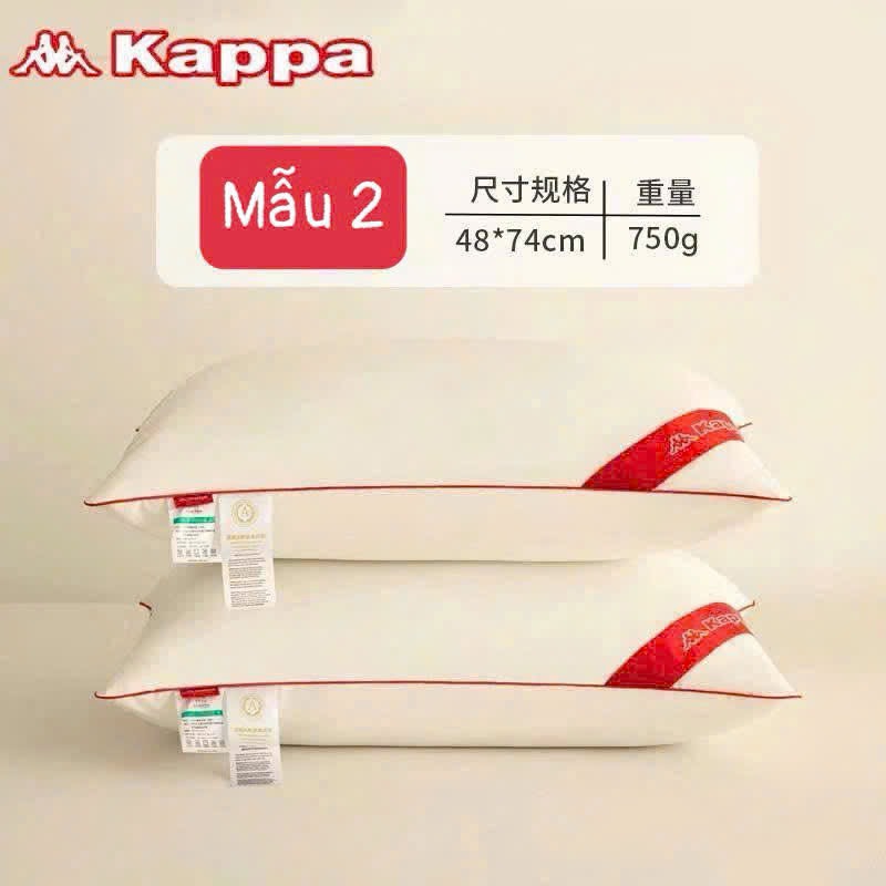 Ruột gối-R7.2906.25