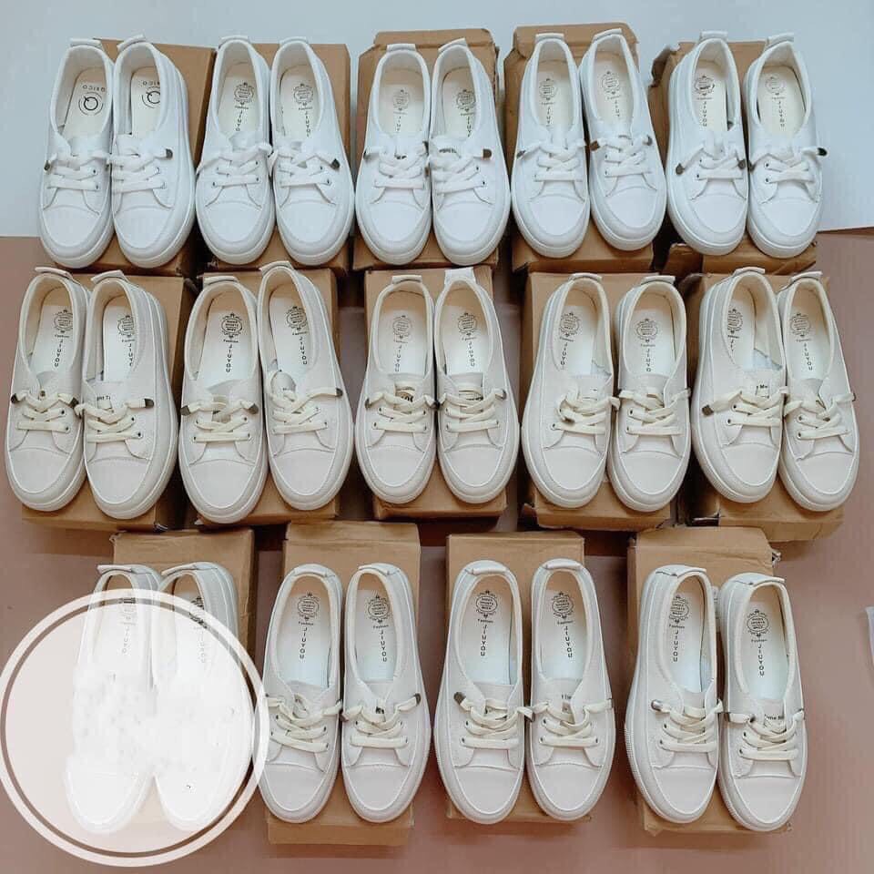 Giầy slipon-TN1.0507