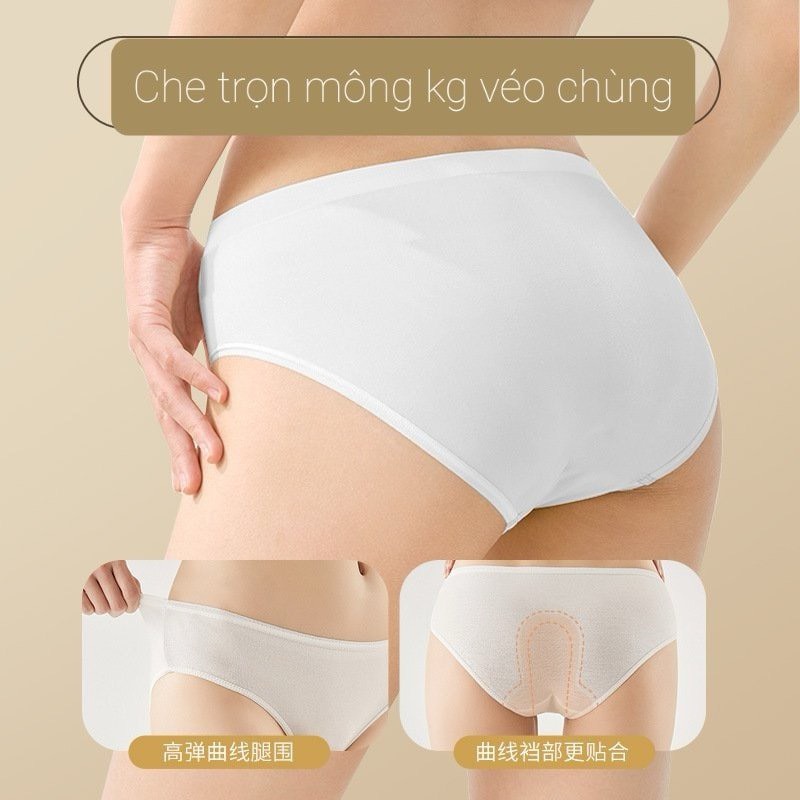 Quần chip-R26.0305