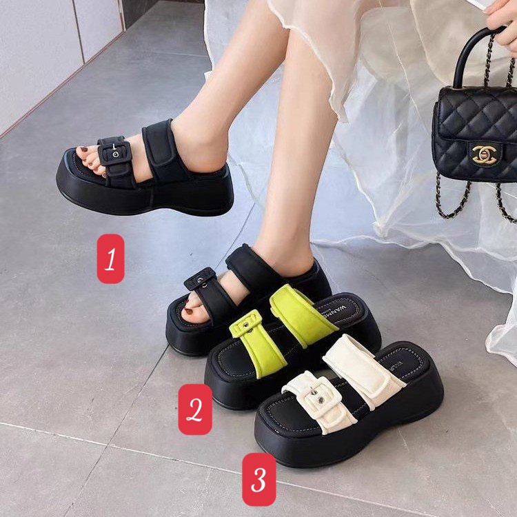 Dế đế cao-R13.1604