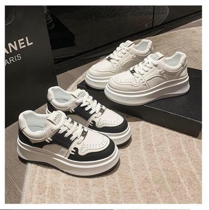 Giầy sneaker-TN10.3112