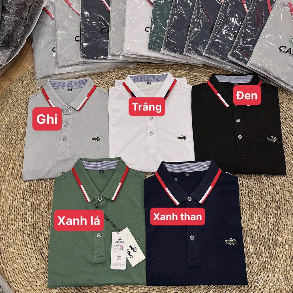 Áo polonam nữ-TN13.1907