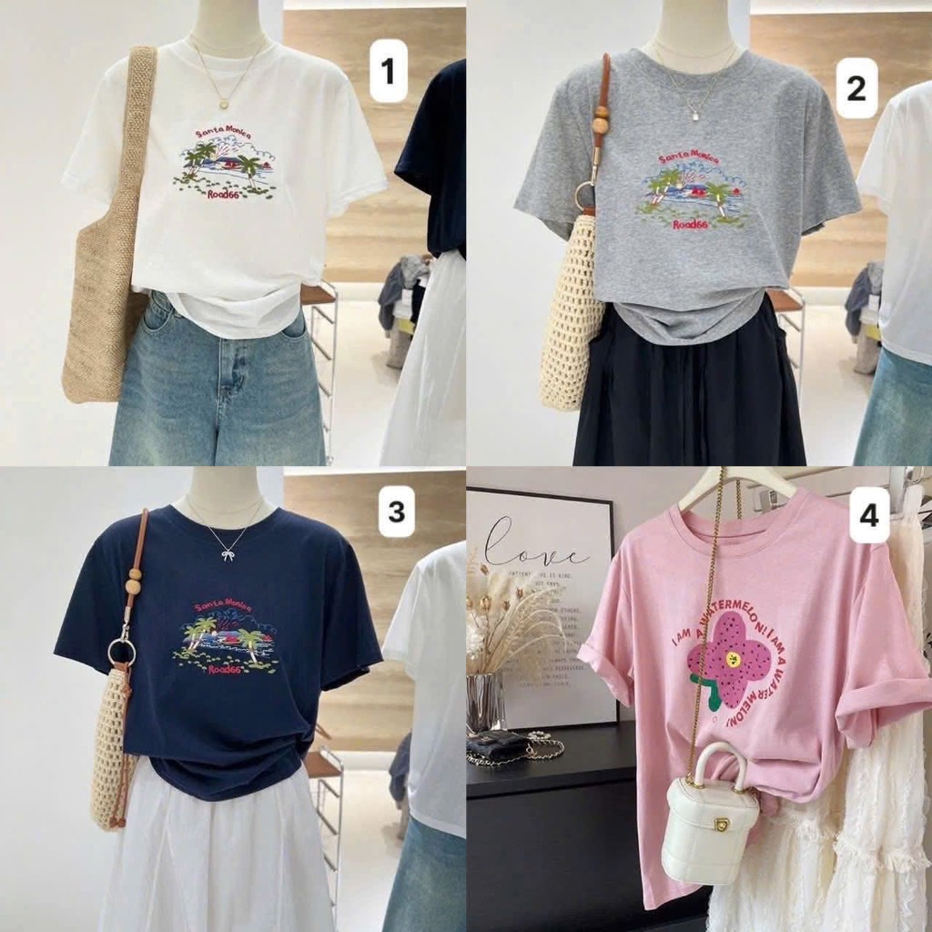 Áo phong-R6.0604.26